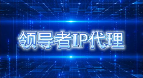 代理服務器在科技推廣與應用服務中的高效運用指南